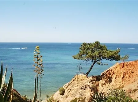 Nyaraló V4 Com Piscina Privada A 400 Metros Da *